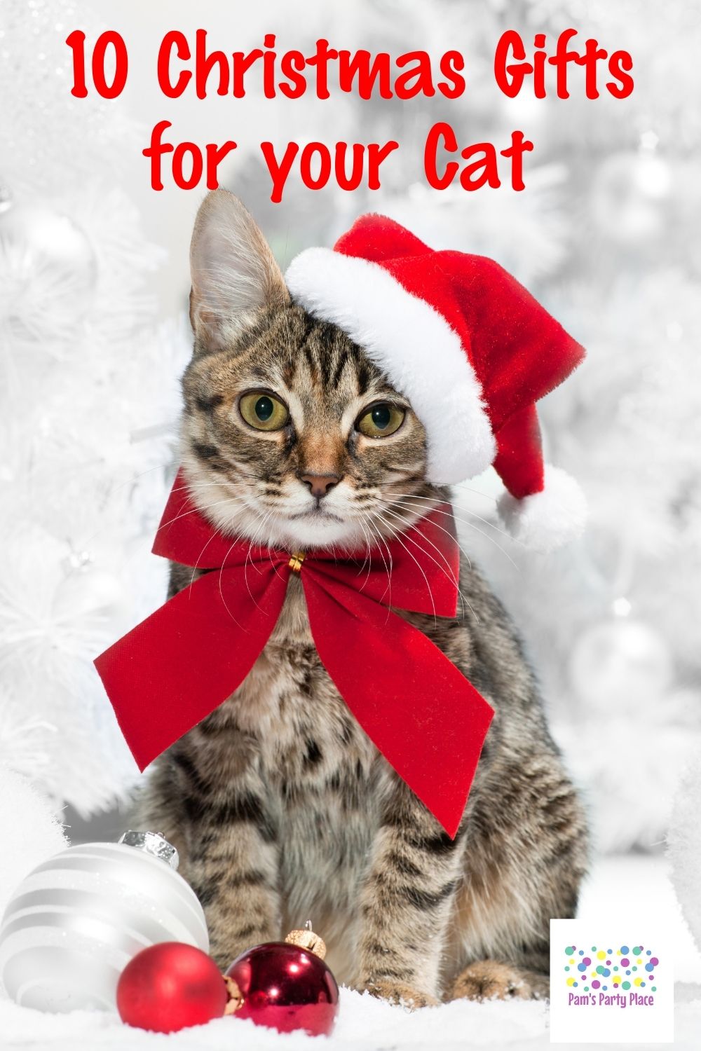 10 Christmas Gifts Ideas for Your Cat Pam